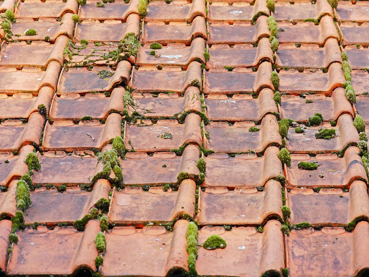 Blog old roof, roof tiles, barn, moss, roof, brick, vegetation, mossy old, roofing, old roof, roof tiles, roof tiles, roof tiles, roof, roof, roof, roof, roof, roofing